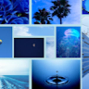 Meet your Posher, Savannah